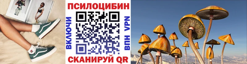 Псилоцибиновые грибы Cubensis  Купить  Усть-Лабинск 